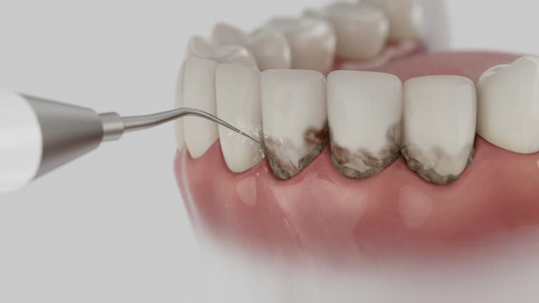 Reliable Dental contractor in Paulding, OH by Dentist Open Now